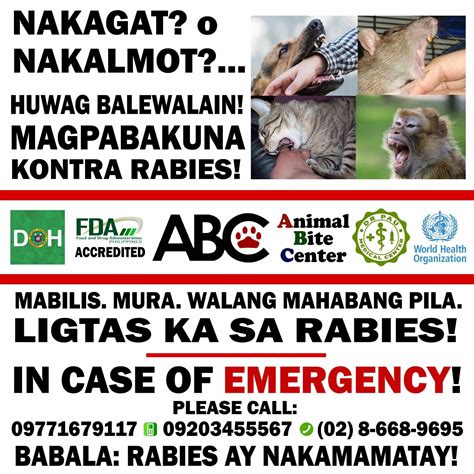 abc animal bite center mandaluyong photos|List of Accredited Animal Bite Package Providers for CY.